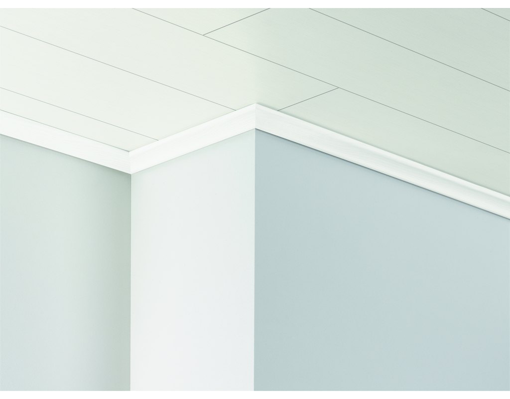 Deckenleiste DAL 2 Esche Weiß glänzend Dekor 2570x40x22 mm