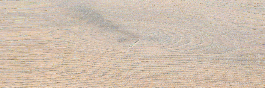 Corelan object Design-Korkboden KF (Alaska Eiche HotCoating-Lack)