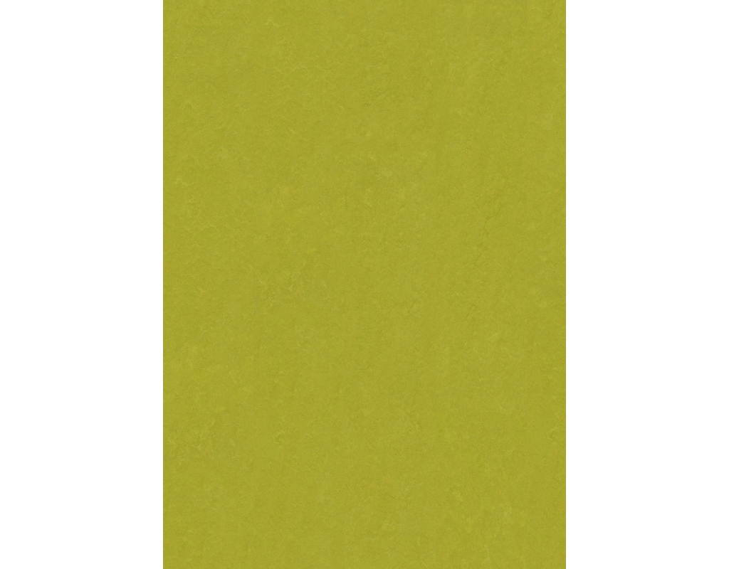 Linoleumboden COLORO Lino Lime 1-Stab ungefast Twist PLUS lackiert 1200x268x10mm