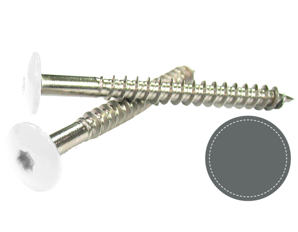 Fassadenbauschraube 5,5 x 45mm Basaltgrau RAL 7012 für Torx-Bit T 20 V4A