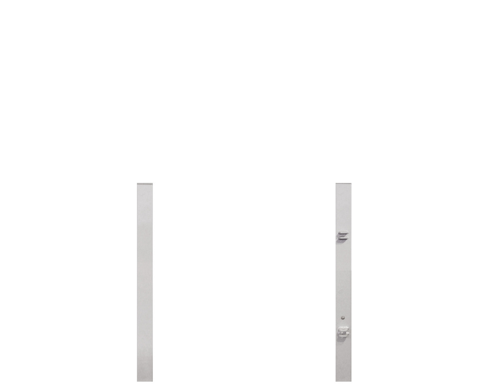 Torpfosten Einzeltor Vorgarten (2er-Set) silber Metall, 8x8x150cm