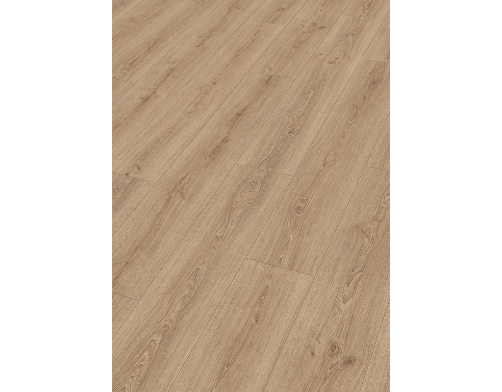 Laminatboden LD 250 6983 Stieleiche natur