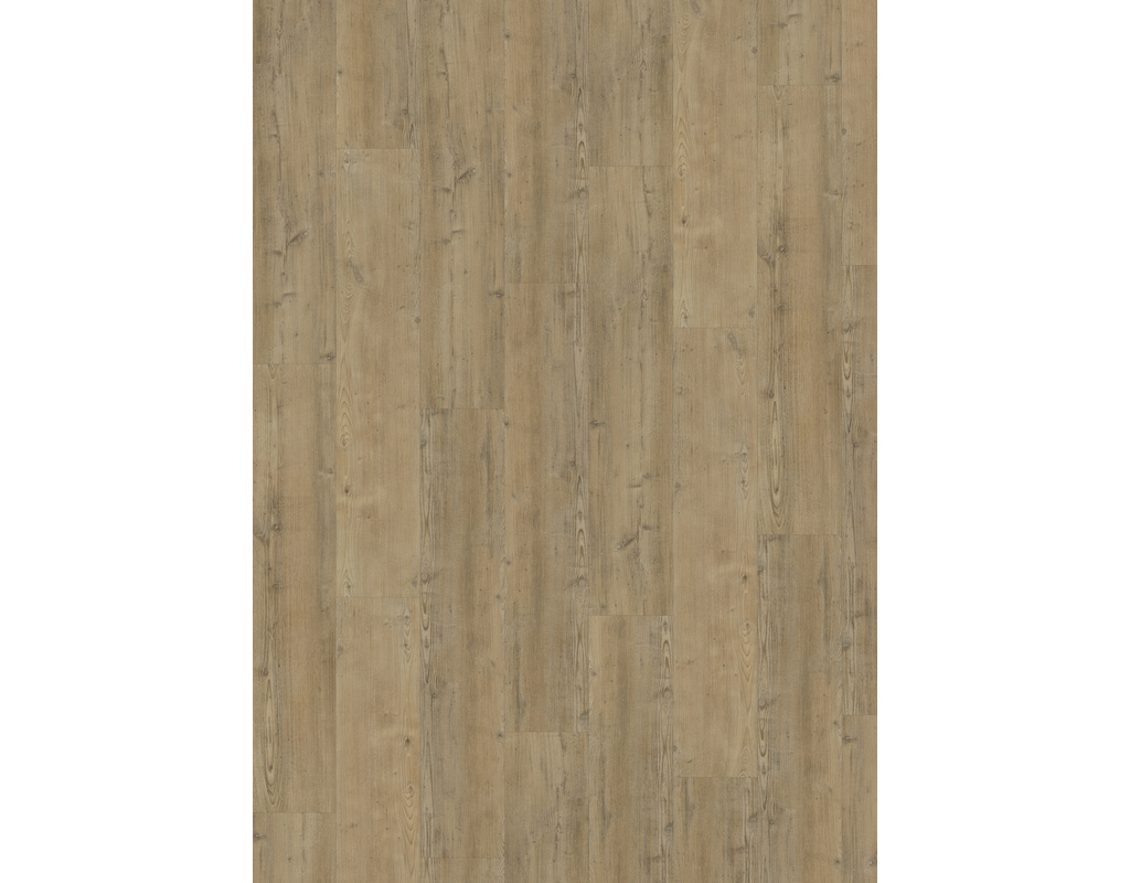 Dry Back 0,55 Waipoua DBW 229-055 (1219,2x228,6x2,5mm)