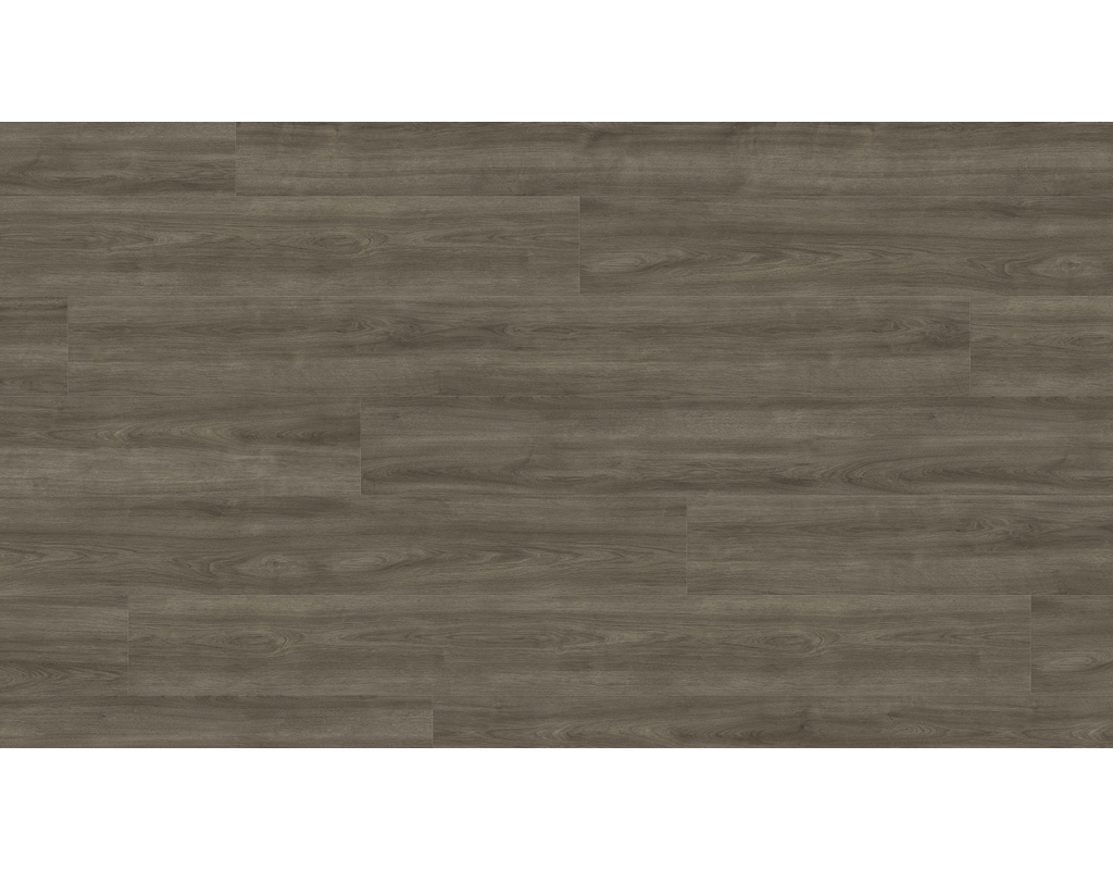 Laminat TRITTY 100 Silent CT TC Gran Via 4V Eiche Eleganza antikgrau auth. 2200x243x10mm