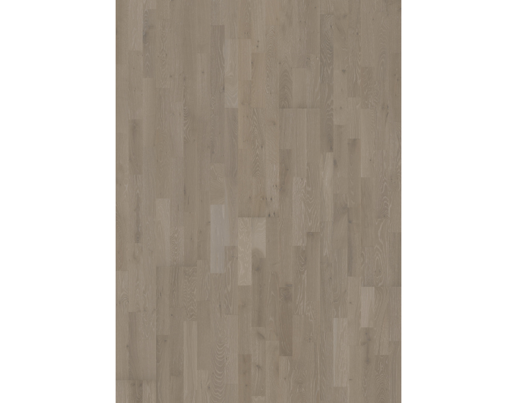 Parkett Harmony Collection 3-Stab (Country) Eiche Alloy, Mattlack, gebürstet (2421x200x15mm)