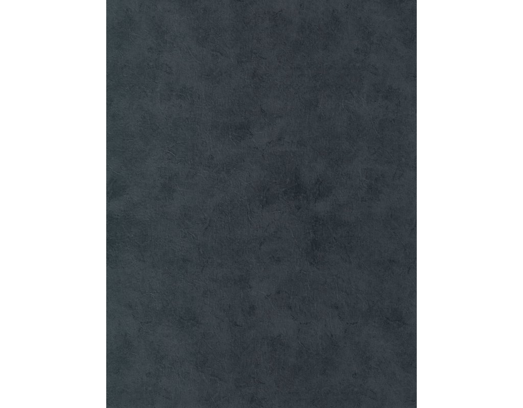Antigua stone HydroWood Graphit Microfase Desig.vinyl Fertigfußboden 620x450x10mm