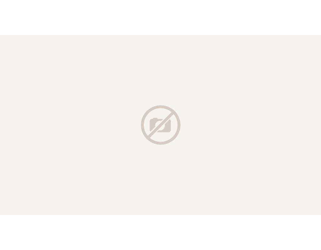 Antigua professional HydroWood Kaschmireiche light Desig.vinyl Fertigfußboden Extend 1815x305x10mm