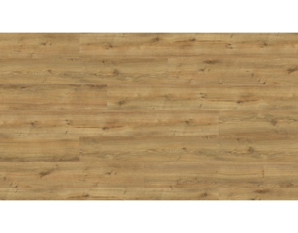 Haro DISANO LifeAqua XL Gebirgseiche honig