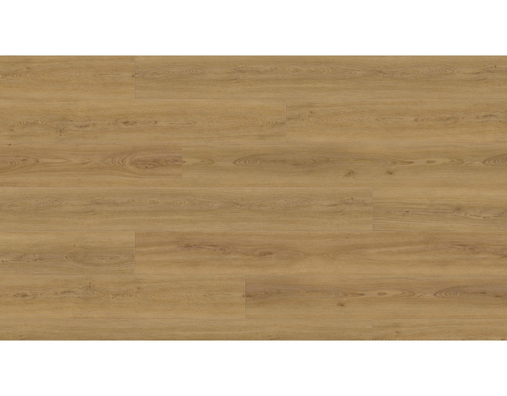 Haro DISANO LifeAqua XL Eiche Sheffield