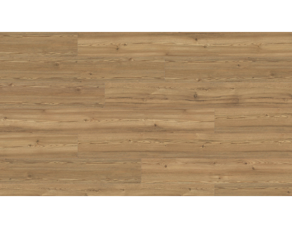 Haro DISANO LifeAqua XL Berglärche cognacbraun