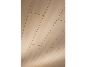 Dekorpaneele Terra DP 200 Alabaster-Akazie 158 Dekorpaneele Terra DP 200 Alabaster-Akazie 158