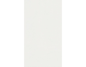 Dekorpaneele Classic Bocado 200 Uni weiß glänzend DF 324 Dekorpaneele Classic Bocado 200 Uni weiß glänzend DF 324