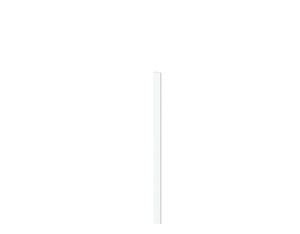 LONGLIFE CARA Zaunprofil weiß 28x82x1800mm LONGLIFE CARA Zaunprofil weiß 28x82x1800mm