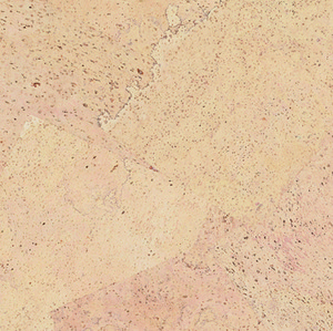 Korkplus Kork-Fertigparkett HDF Harmony creme lackiert Korkplus Kork-Fertigparkett HDF Harmony creme lackiert