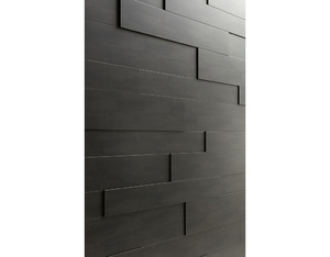 MEISTER-Systempaneel SP 301 Metallic Stahl 4078 MEISTER-Systempaneel SP 301 Metallic Stahl 4078