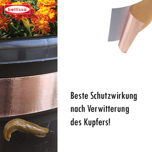 Schneckenband Kupfer selbstkl. 500x3 cm Schneckenband Kupfer selbstkl. 500x3 cm