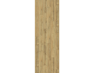Laminat Trendtime 6 4V Eiche Nova (Gekälkt Naturstruktur 4-seitig gefast) Laminat Trendtime 6 4V Eiche Nova (Gekälkt Naturstruktur 4-seitig gefast)