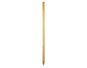 Baumpfahl grün 6 x 200 cm (gefräst, gefast, gespitzt) Baumpfahl grün 6 x 200 cm (gefräst, gefast, gespitzt)