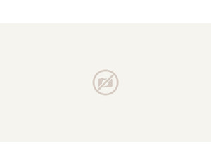 Jägerzaun braun Tor (100 x 100 cm) Jägerzaun braun Tor (100 x 100 cm)
