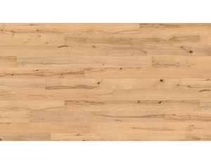 PARKETT 4000 TC LA 2V Buche ged. Universal naturaDur 2200x180x13,5mm PARKETT 4000 TC LA 2V Buche ged. Universal naturaDur 2200x180x13,5mm
