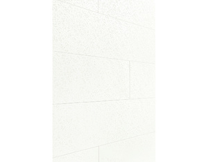 Dekorpaneele Terra DP 200 4089 Duo Gloss White Dekorpaneele Terra DP 200 4089 Duo Gloss White