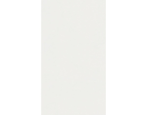 Dekorpaneele Classic Bocado 250 Uni weiß glänzend DF Dekorpaneele Classic Bocado 250 Uni weiß glänzend DF