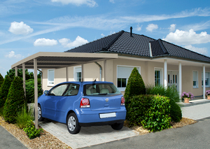 BasicLine Carport mit Geräteraum (319x245x208 silbergrau) BasicLine Carport mit Geräteraum (319x245x208 silbergrau)
